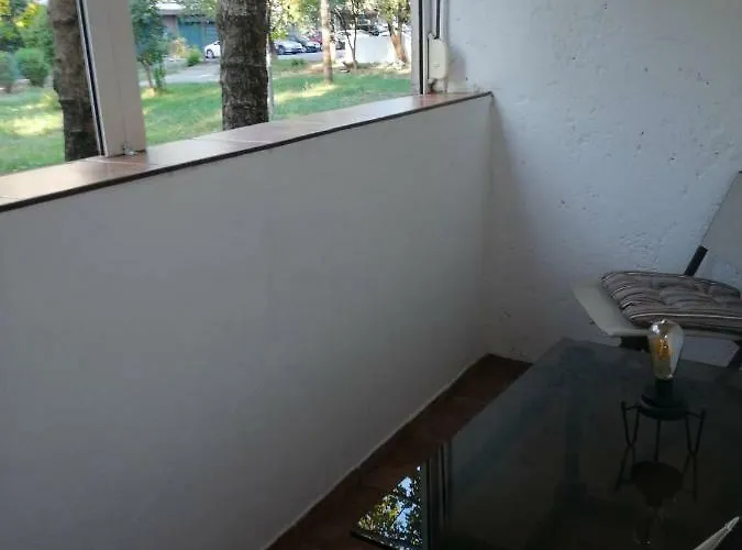 Yellow Apartment, Lejlighed *