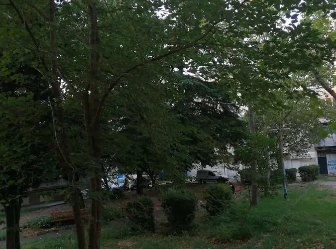 Yellow Apartment, Apartmán *